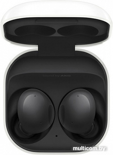 Наушники Samsung Galaxy Buds 2 (черный)