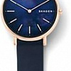 Наручные часы Skagen SKW2731