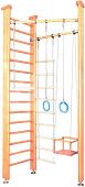 Детский спортивный комплекс Карусель 3Д.01.01 (светлый)