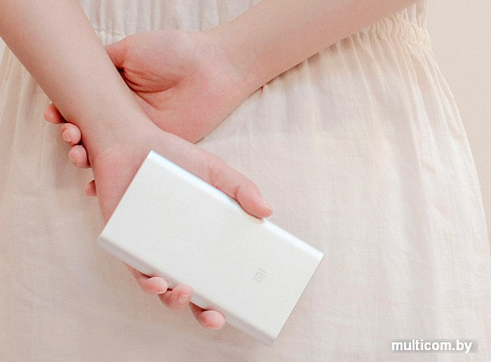 Портативное зарядное устройство Xiaomi Mi Power Bank 2 10000mAh (серебристый)