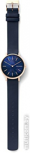 Наручные часы Skagen SKW2731