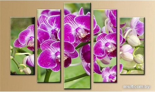 Модульная картина Arthata 5m-055 160x90