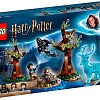 Конструктор LEGO Harry Potter 75945 Экспекто Патронум