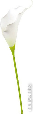 Искусственный цветок Forgarden Калла BN10768 (белый)