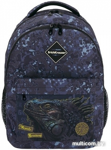 Рюкзак Erich Krause EasyLine 20L Iguana 48608