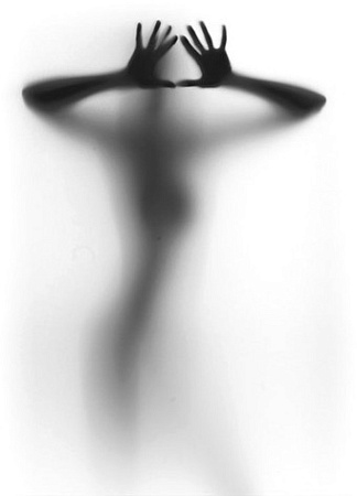 Фотообои Citydecor Силуэт с защитным покрытием 200x254