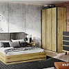 Шкаф распашной Anrex Street 3DG (дуб наварра/черный)