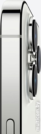 Смартфон Apple iPhone 13 Pro 256GB (серебристый)