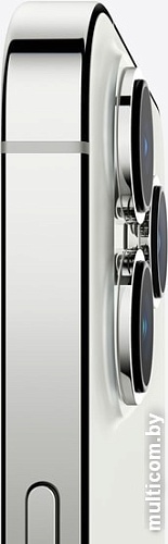 Смартфон Apple iPhone 13 Pro 256GB (серебристый)