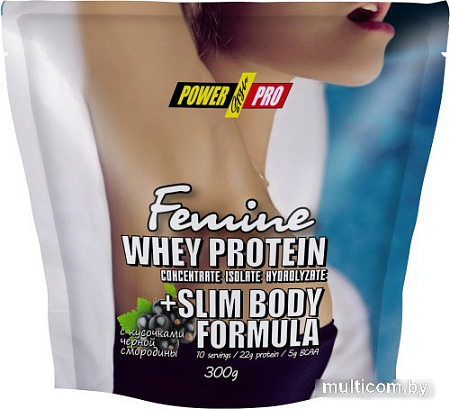Протеин сывороточный (изолят) Power Pro Femine PP982119 (300г, черная смородина)