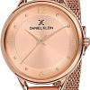 Наручные часы Daniel Klein DK11666-4