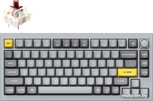 Клавиатура Keychron Q1 V2 RGB Q1-N3-RU (Gateron G Pro Brown)