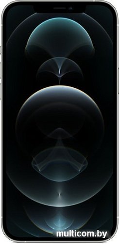 Смартфон Apple iPhone 12 Pro Max 512GB (серебристый)