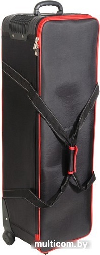 Сумка Falcon Eyes СС-12 27100