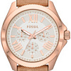 Наручные часы Fossil AM4532