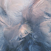 Фотообои Vimala Перья 9 270x300
