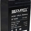 Аккумулятор для ИБП Security Force SF 6045 (6В/4.5 А·ч)