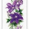 Набор для вышивания Риолис Клематис № 1801