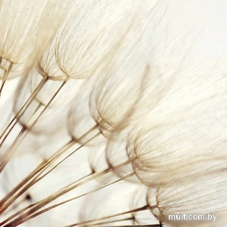 Фотообои Citydecor Цветы и Растения 140 300x260