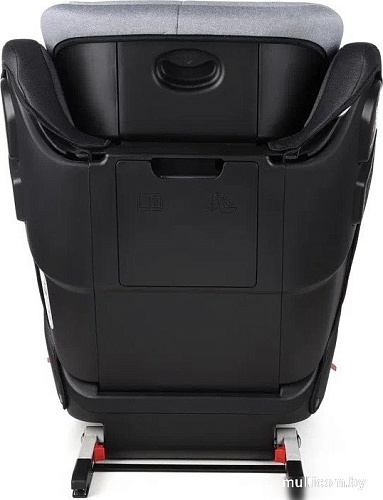 Детское автокресло Smart Travel Expert Fix KRES3895 (темно-серый)