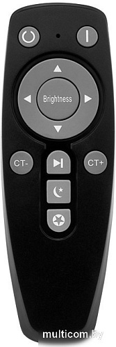 Припотолочная люстра Rexant Neptune 650-1016