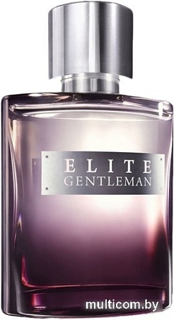 Avon Elite Gentleman EdT (75 мл)