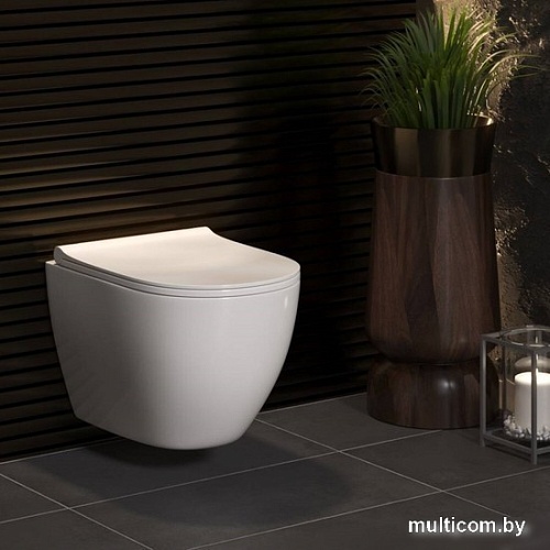 Унитаз подвесной Berges Wasserhaus Okus + Okus Slim SO + Atom Line 410 042446