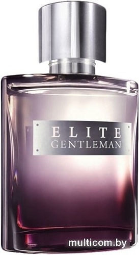 Avon Elite Gentleman EdT (75 мл)