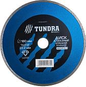Отрезной диск алмазный Tundra 1032297