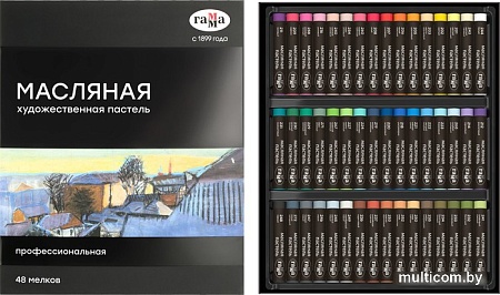 Набор масляной пастели Гамма 5042348 (48 цв)