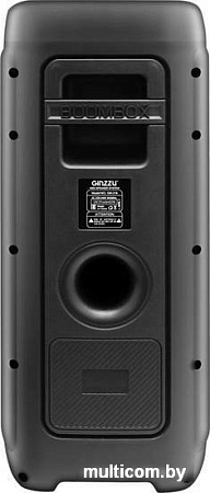 Колонка для вечеринок Ginzzu GM-218