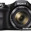 Фотоаппарат Sony Cyber-shot DSC-H300