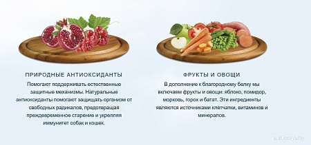 Сухой корм для собак HappyOne Mediterraneum беззерновой со свежим яйцом и свежим мясом ягненка 12 кг