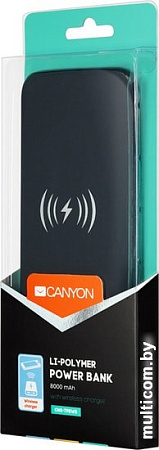 Портативное зарядное устройство Canyon CNS-TPBW8B