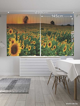 JoyArty Край подсолнухов p_8250 (145x180)