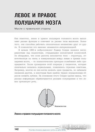 Книга издательства МИФ. Психология. Люди, концепции, эксперименты (Клейнман П.)