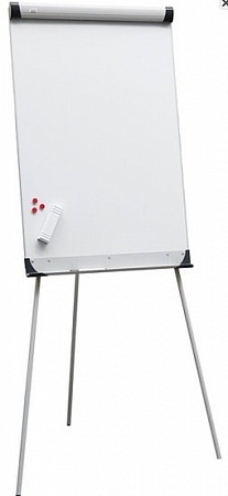 Флипчарт 2x3 Ecochart 60x90 TF01602012