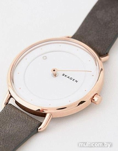 Наручные часы Skagen SKW2739