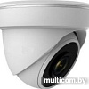 IP-камера Arsenal AR-IP202/40-28 Starlight