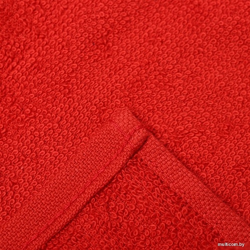 Набор полотенец Этель Санта 10715161 30x30 (4 шт)