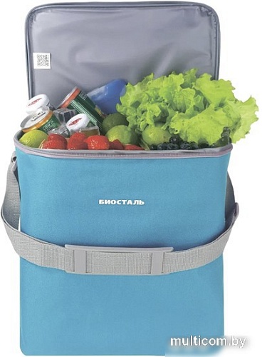 Термосумка BIOSTAL Кантри TCD-B 20л (лазурный)