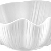 Салатник Walmer Sea Shell W37000748