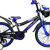 Детский велосипед Delta Sport 20 (черный/синий, 2019)