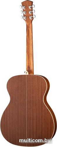 Акустическая гитара Parkwood S22-GT