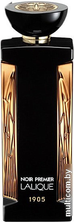 Lalique Noir Premier Terres Aromatiques EdP (100 мл)