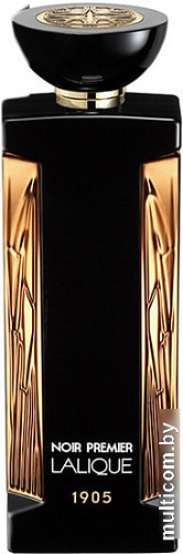 Lalique Noir Premier Terres Aromatiques EdP (100 мл)
