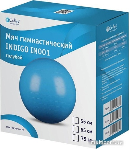 Мяч Indigo IN001 65 см (голубой)