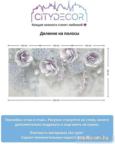 Фотообои Citydecor Абстракция 66 300x150