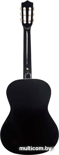 Акустическая гитара Terris TC-3801A BK