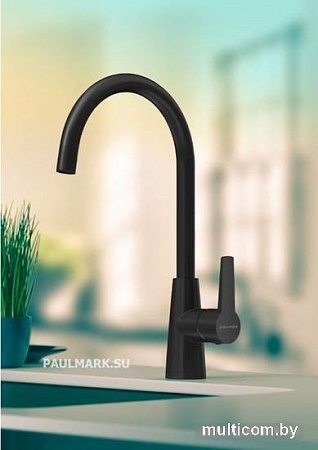 Смеситель Paulmark Holstein Ho212065-401 (антрацит)